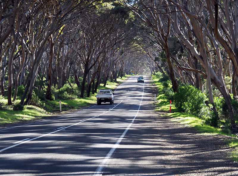 Kangaroo Island Western Caravan Park ingresso