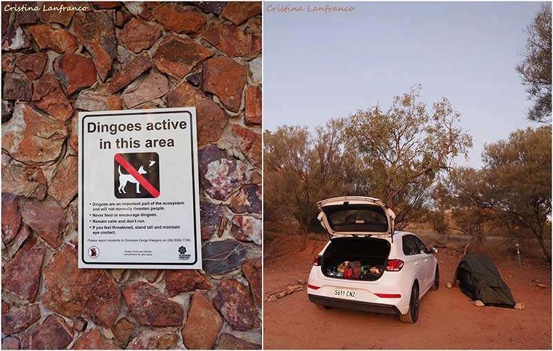 Standley Chasm Red Centre Australia