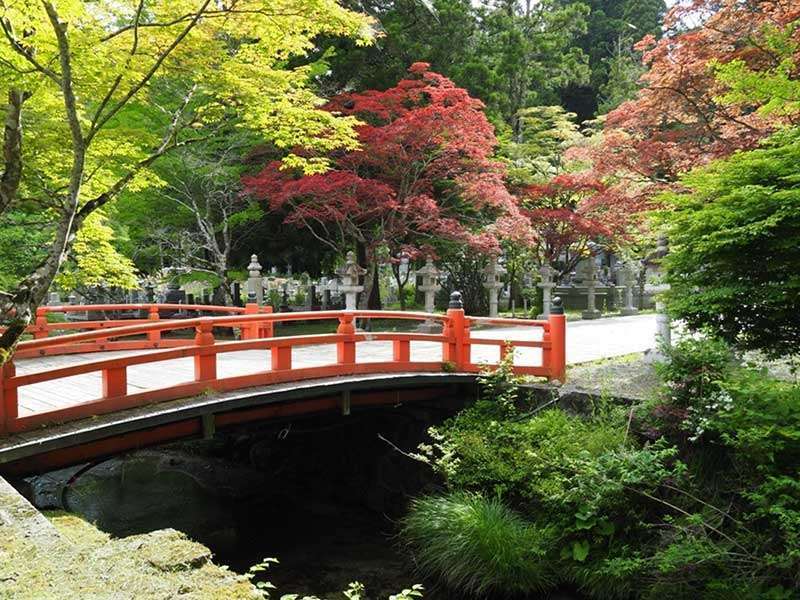 okunoin koyasan sentiero nel bosco